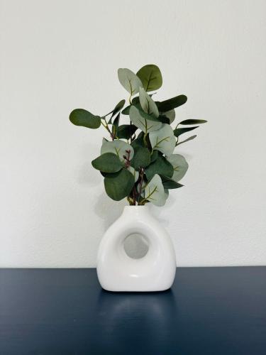 Comfy beds Wifi Bars Cafes Food in Riverside