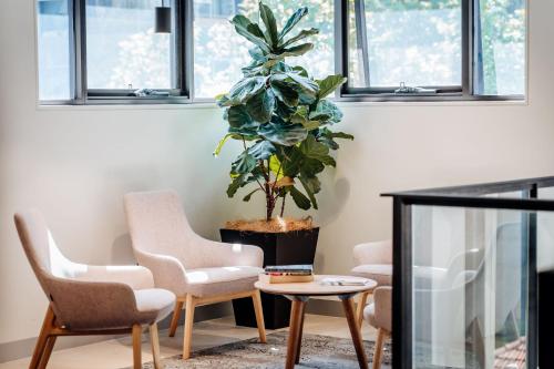 Mary MacKillop Place - image 14