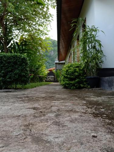 Meexok guesthouse in Nong Khiaw