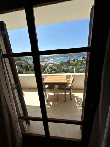 Surrounding environment, Olive Grove in Foinikas