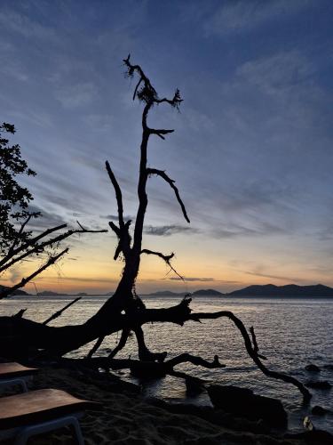 Surrounding environment, secret garden family house in Koh Chang Tai