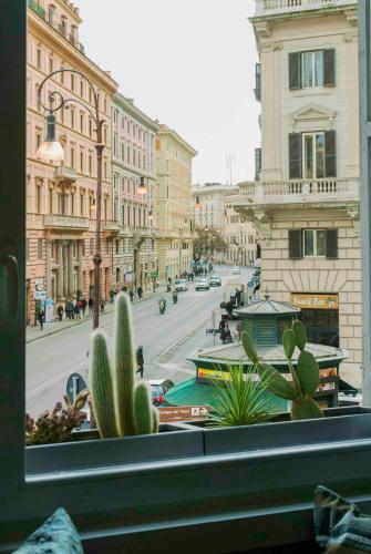 View, Corso Vittorio 308 in Navona