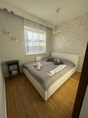 Apartament Starowiejska