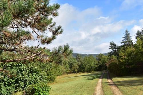 Maison avec un grand jardin en pleine nature in Saint-Leon-sur-Vezere