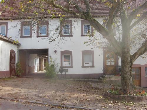 Haus Wolf, Pirmasens (fotografie 9)