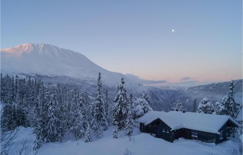 . Stunning Home In Rjukan With Wifi
