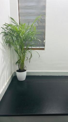 250m² 3 guļamistaba, 3 privāta vannas istaba  Thalipara
 (Grace Villa Homestay, Cherupuzha, Kannur) in Payyanur
