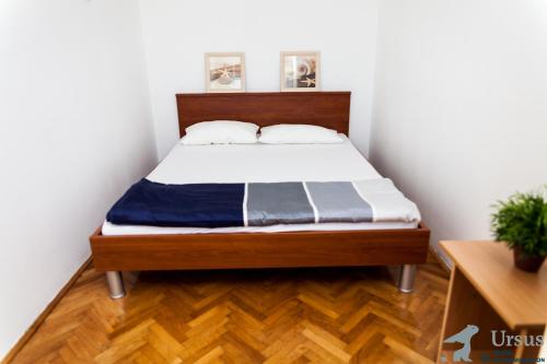 Apartment Janjiš - image 13