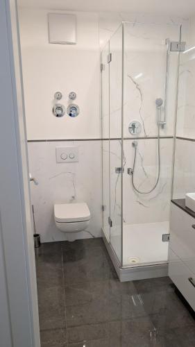 DoubleBedroom in Topfloor Apartment Doppelzimmer auf oberster Etage, Mnichov (fotografie 9)