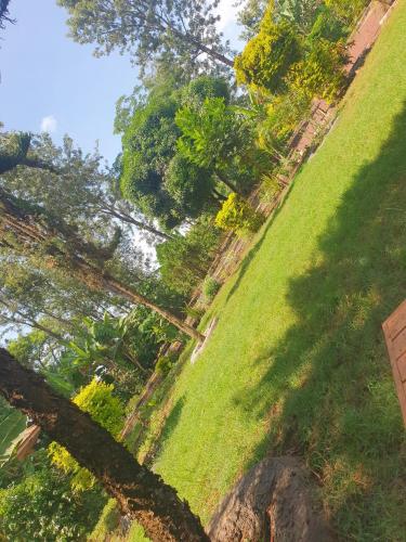 Sinana country Home-Backpackers Stay