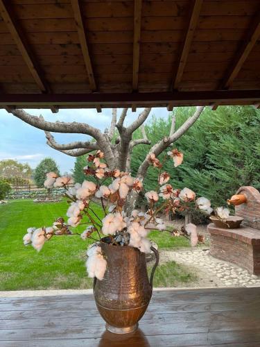Ξύλινη Φωλιά - Wooden Nest, Tríkala (foto 7)