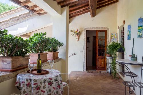 Agriturismo Il Caggio di Sotto - Accommodation - Lano