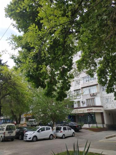 светлая уютная квартира в центре Ташкента, Amir-Ravat (fotografie 5)