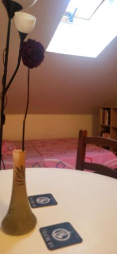 Jolie chambre Privée Centre-Ville, Nicea (zdjęcie 9)