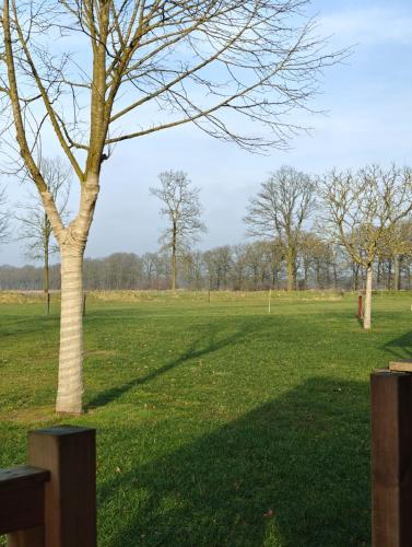 Skats, Safaritent 4 persoons camping Lindershoeve Bergeijk in Bergeijk