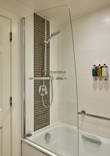 Montagu Place Hotel - image 13