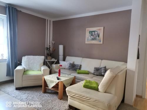 Ferienwohnung - am- Goethewanderweg in 施督巴赫