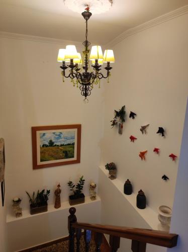 Facilities, Refugio da Serra in Belmonte