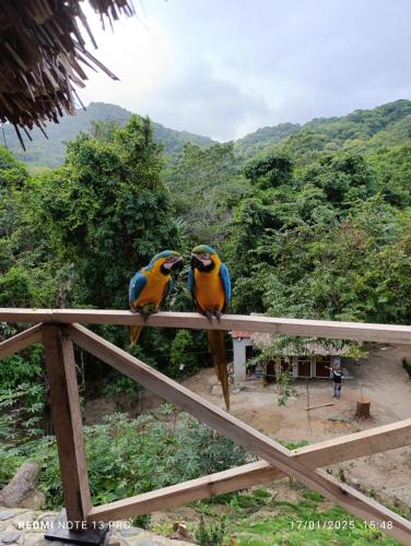 Hostal El Eden Dentro del Parque Tayrona