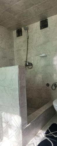 Riad Elaissi Riad Elaissi