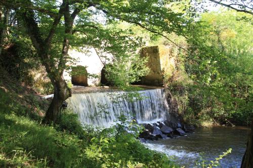 Le Tronçais - image 6