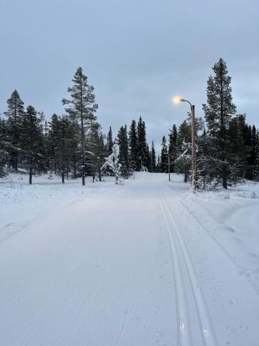 Sport i aktivnosti, Trailside Studio N4 in Hemsedal