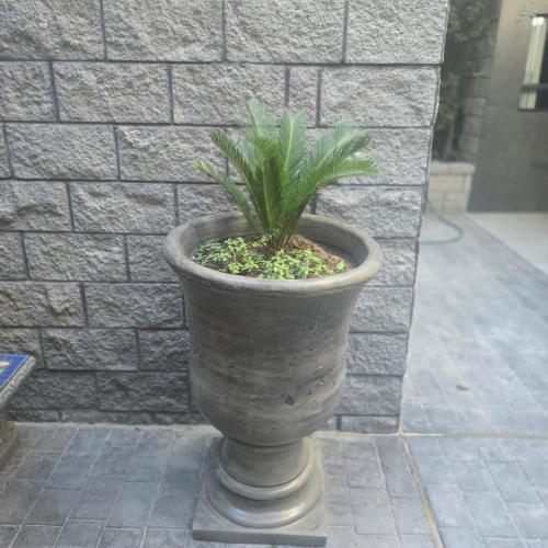 Playas Hotel Suites – Puerto Peñasco, ID