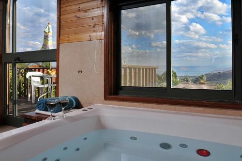 Sharvit Hakesem in Livnim