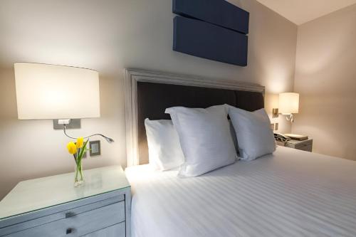 Suites Del Ángel Suites Del Ángel