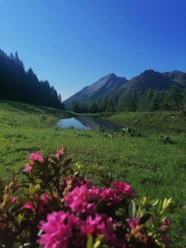 Ferienwohnungen Guglhof Mariapfarr