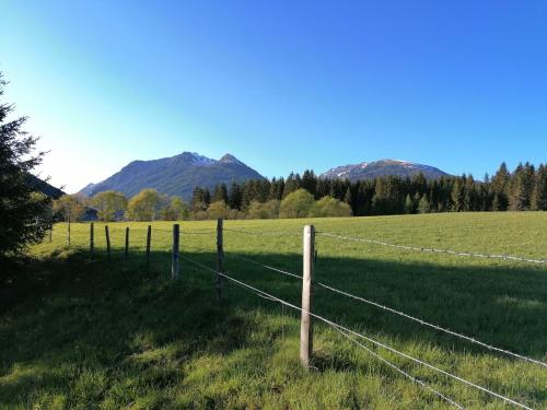 Ferienwohnungen Guglhof Mariapfarr