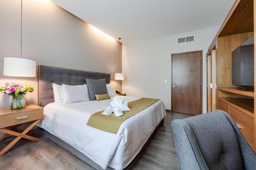 Suites Del Ángel Suites Del Ángel