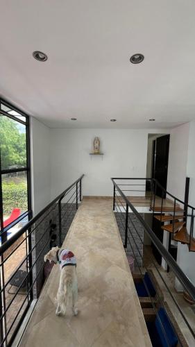 Casa con jacuzzi privado en Flandes