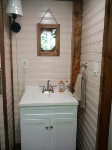 Bathroom, The Tiny House at Deer Holler in Parsons (TN)