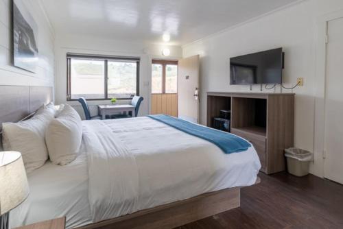 Sea Breeze Motel - image 6