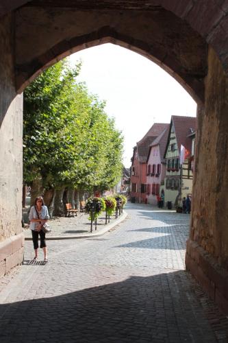 s'Harzala Vert - Location saisonnière - Bergheim