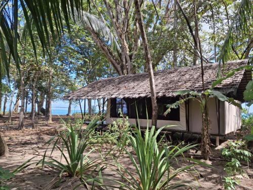Apkārtne, Four Monkeys Eco Lodge - Jungle & Beach in Cabo Matapalo