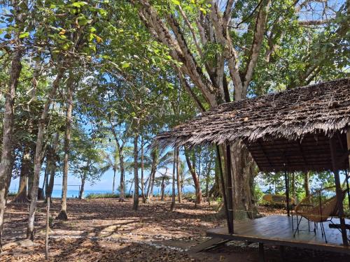 Apkārtne, Four Monkeys Eco Lodge - Jungle & Beach in Cabo Matapalo