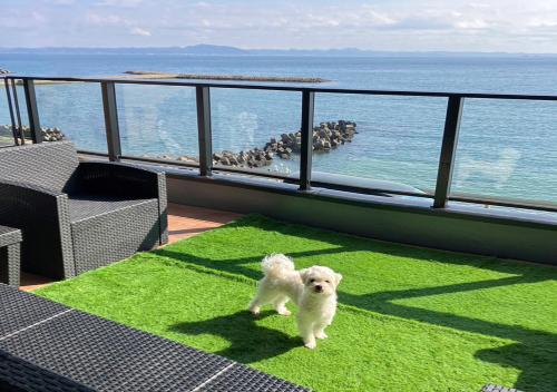 주변 환경, Le Grand Bleu Resort Nagasawa l テラスでゆったりオーシャンビュー ペット小型犬OK 無料駐車場付 (Le Grand Bleu Resort Nagasawa l テラスでゆったりオーシャンビュー ペット小型犬OK 無料駐車場付) in 쓰쿠이