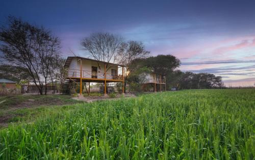 景觀, Bagh Serai by Alaya Stays in 倫滕波爾