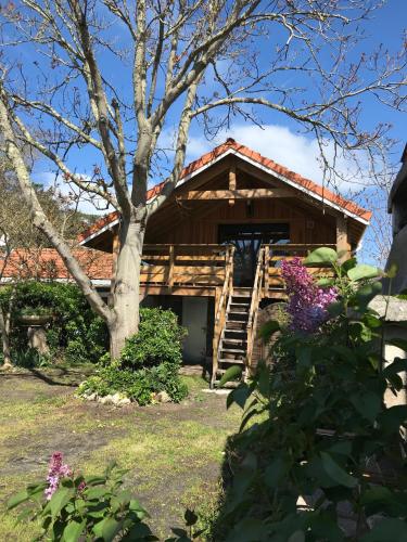 Le Loft - Location saisonnière - Lacanau