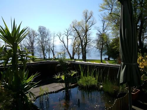 Gastehaus Fischerhausle 362m von Wasserburg (Bodensee) entfernt