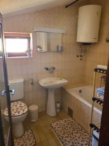 Guest House Olga - image 5