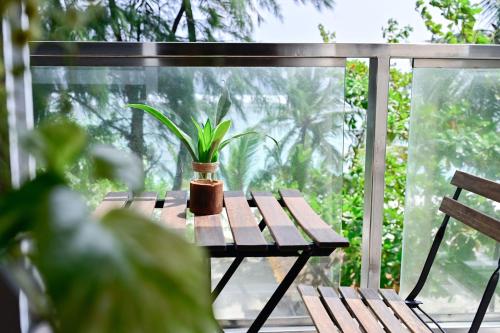 Seasalter Maldives Seasalter Maldives