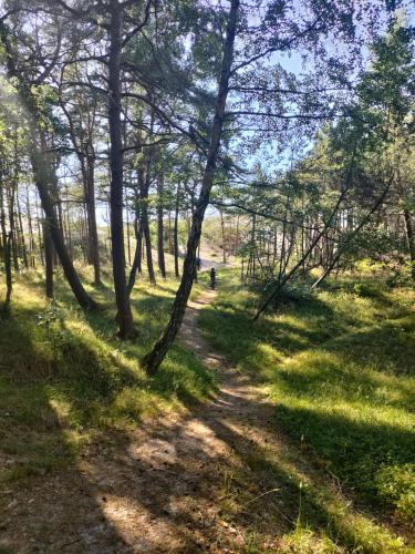 Rowy Comfort - Sea Comfort I Apartamenty z tarasami na dachu, widokiem na morze, 50 m od plaży