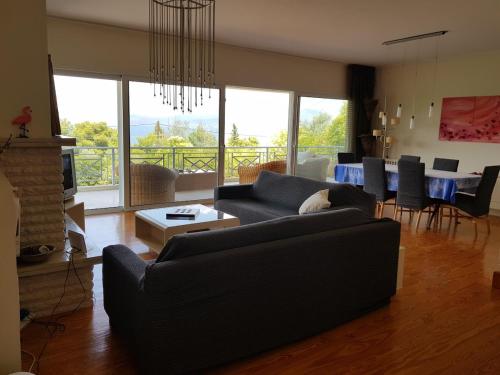 Beachfront House Villa 35min from Athens in Dhilesi