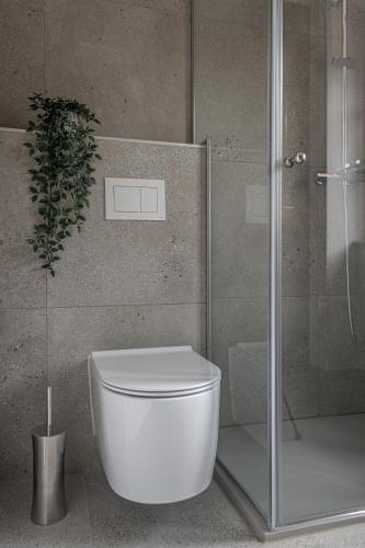 The Witch of Grič Studio Apartments Room Type - Studio