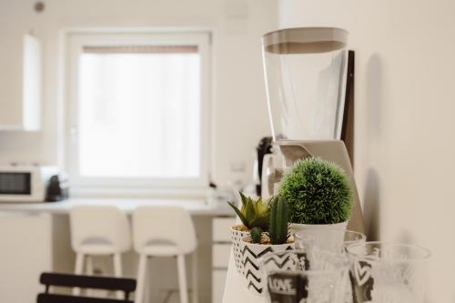 Food and beverages, Civitavecchia HARBOUR VIEW in Civitavecchia