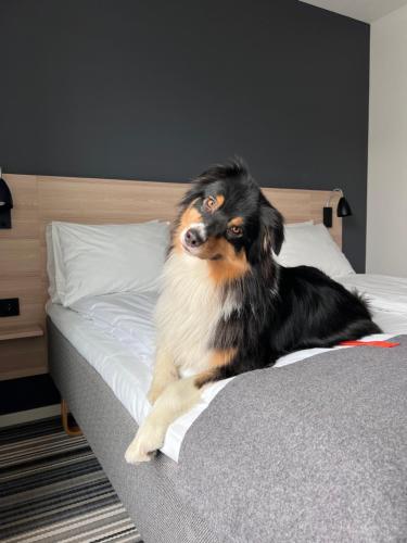 Citybox Oslo - image 7