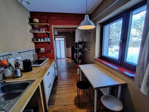 Studio in a wooden house in Destne V Orlickych Horach
